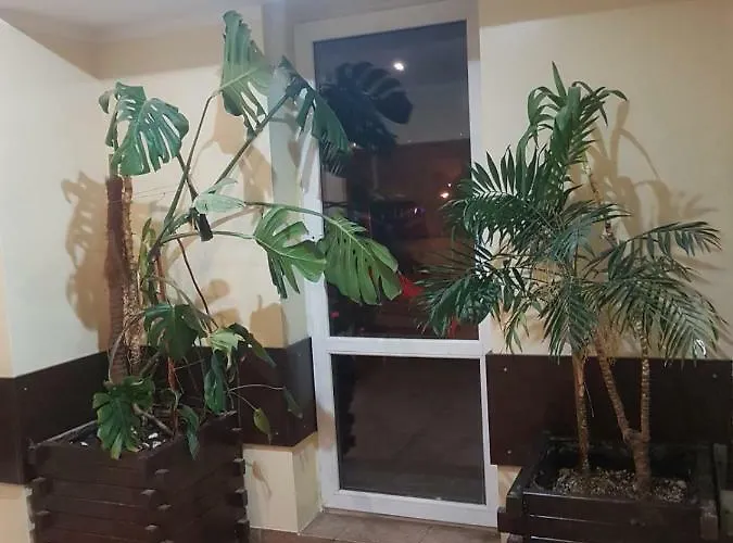 Goscinne Relaks בית אירוח